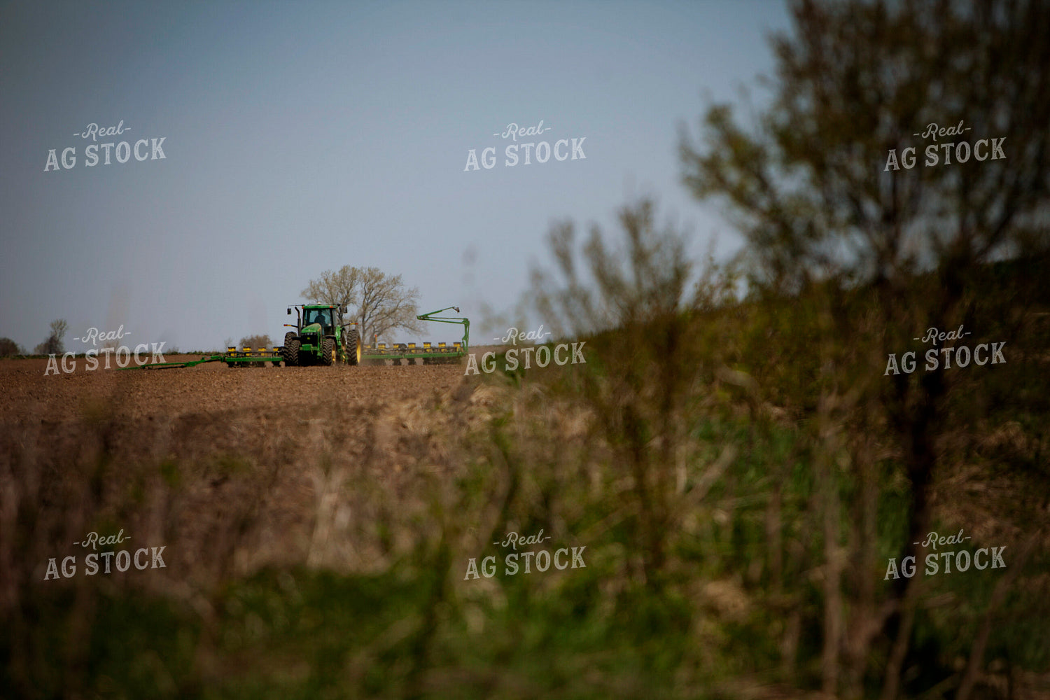 Planting 1990