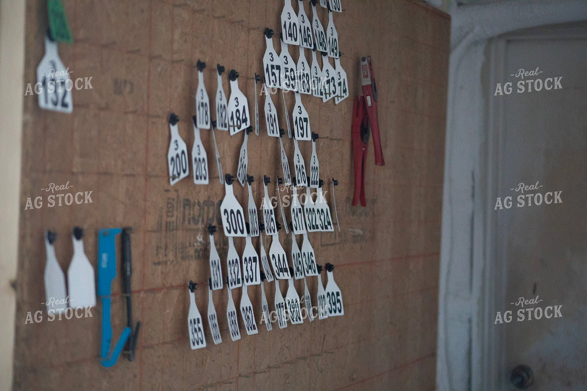 Ear Tags 117258