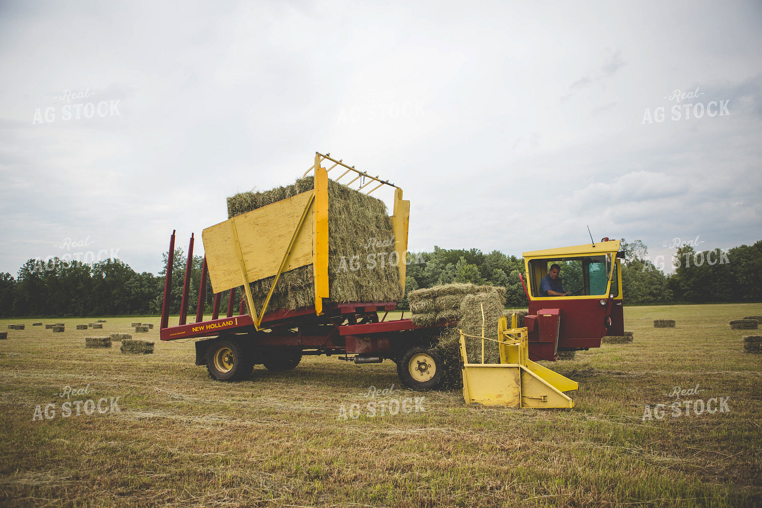 Putting up Hay 169012