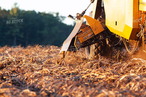 Potato Windrower 132180