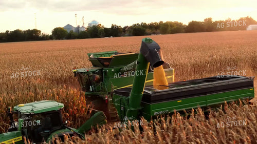 Corn Harvest 287010