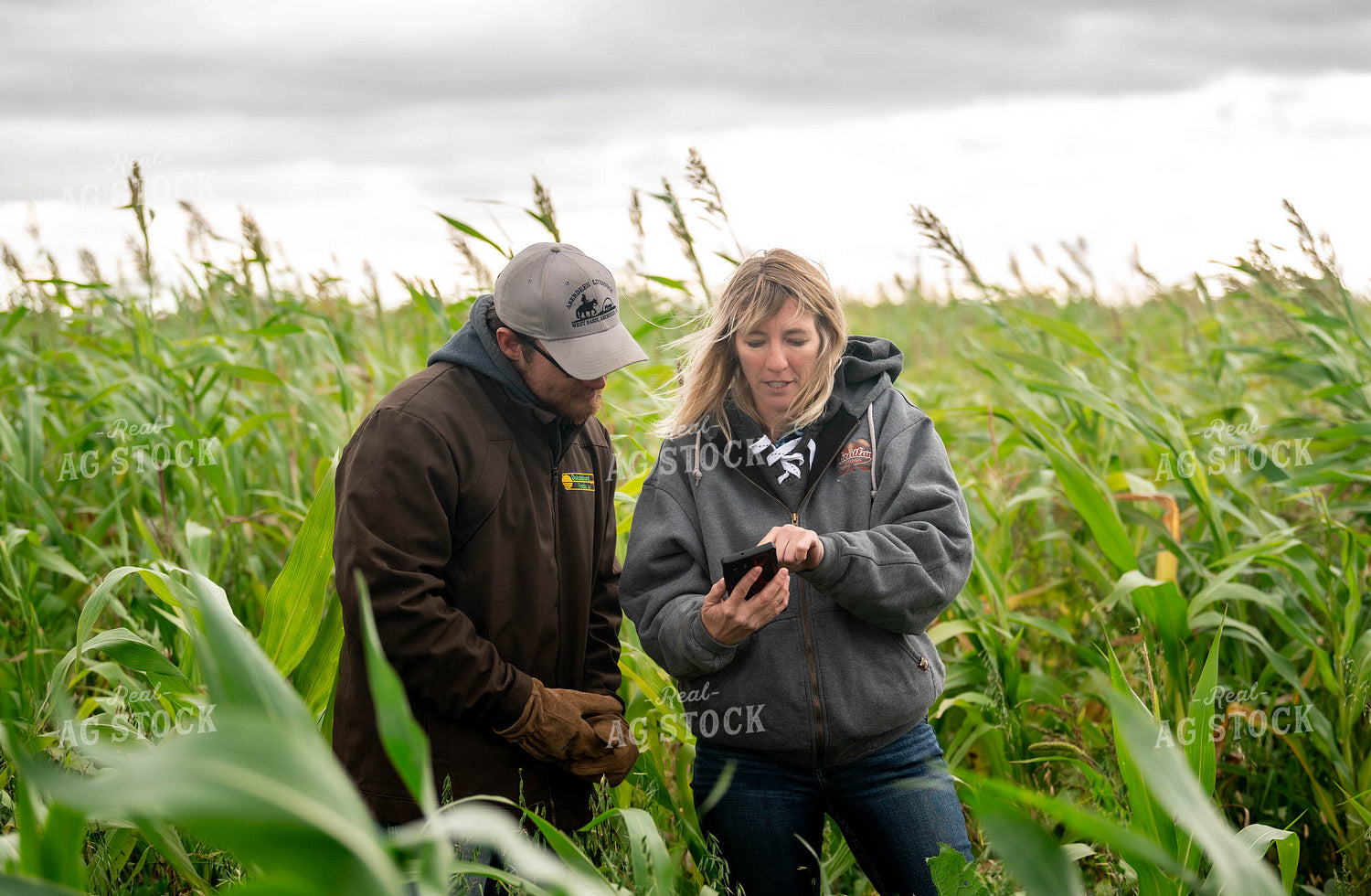 Farmer Checking Crops 185016