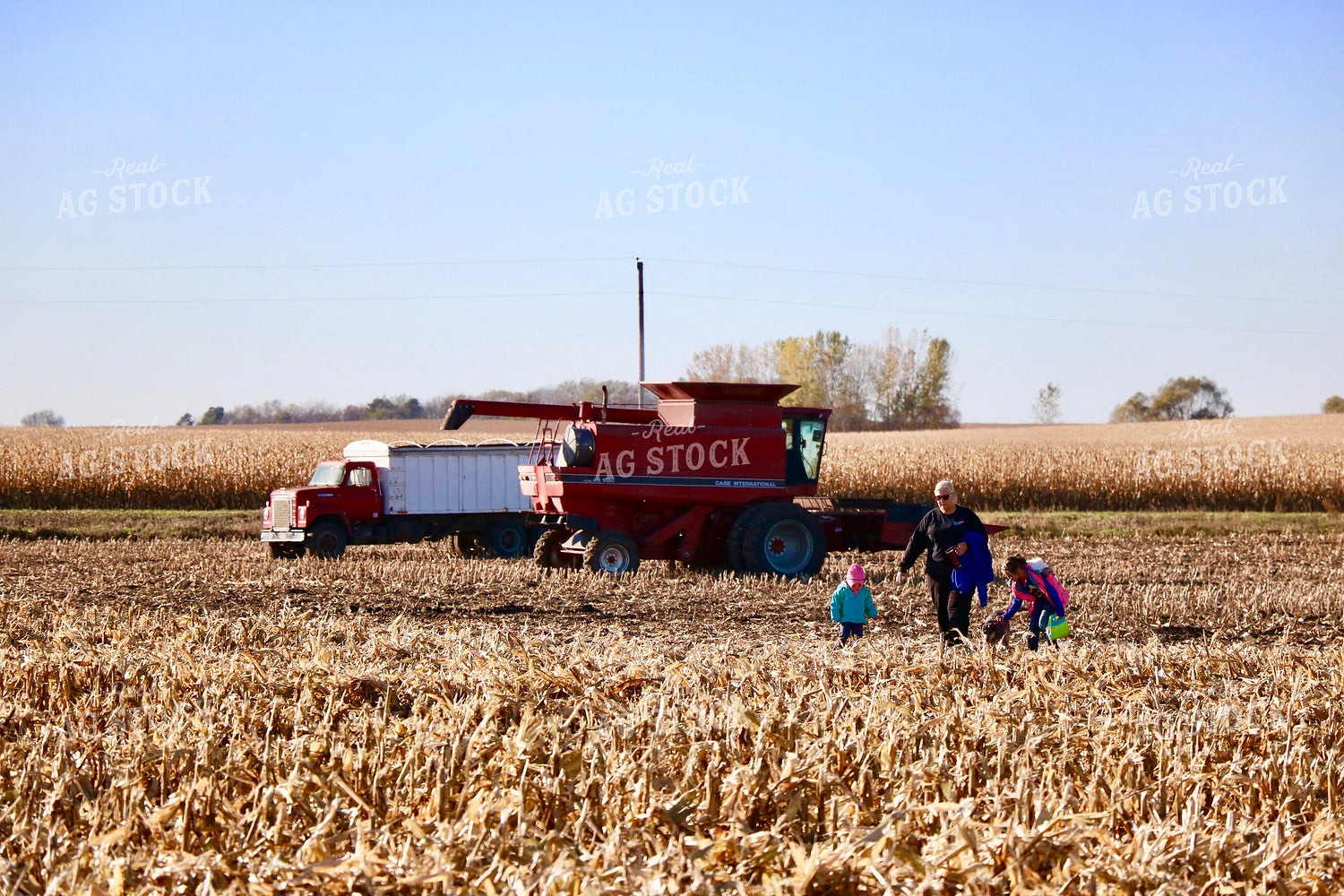 Farm Family During Harvest 299219