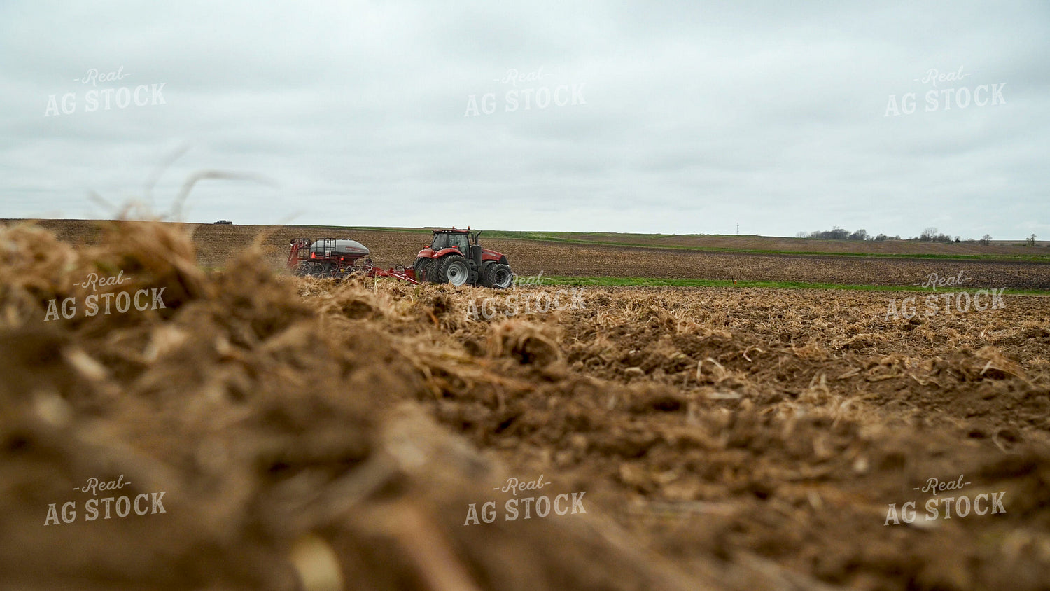Planting into Tilled Cover Crops 25136