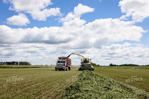 Harvesting Hay Silage 152462