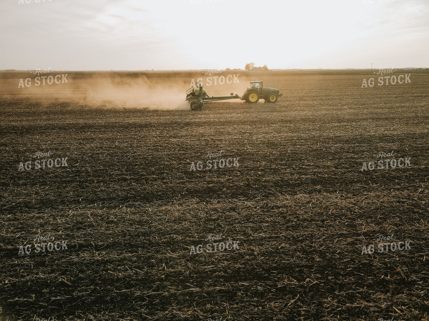Planting 8175