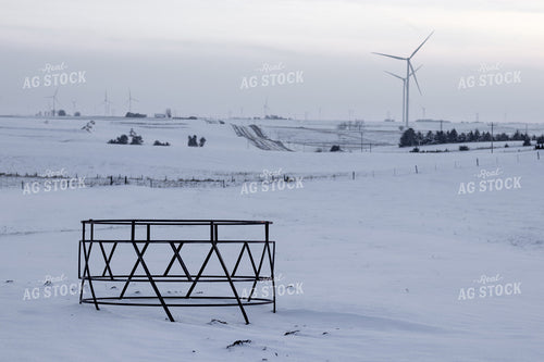 Snowy Pasture 67183