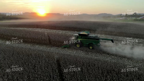Aerial of Combine Harvesting Corn 149119