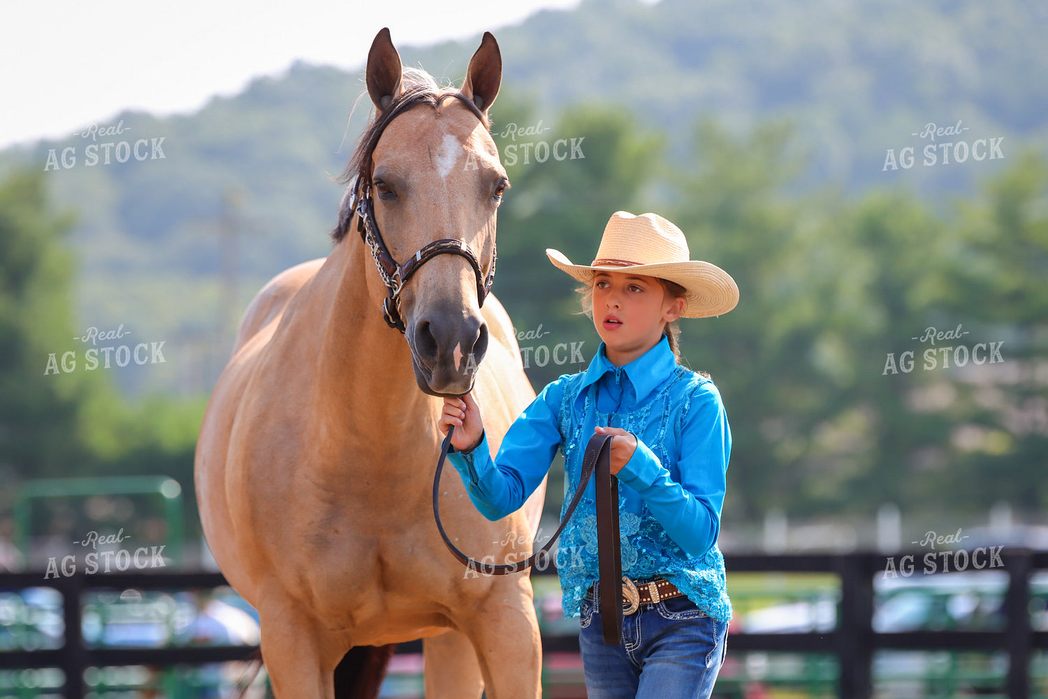 4H Kid Showing Horse 52193