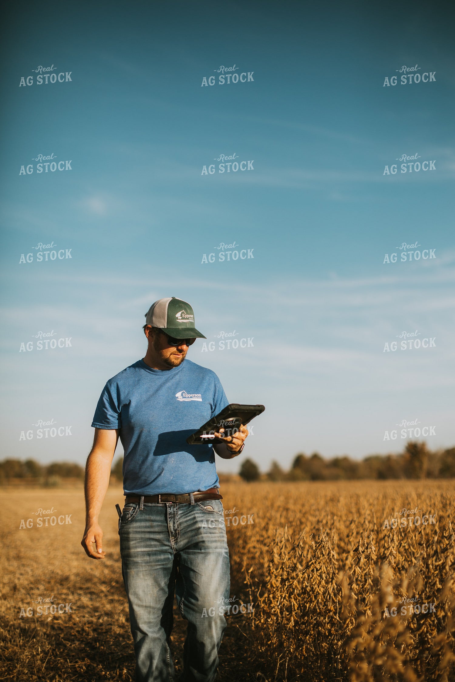 Farmer in Field with Tablet 7184