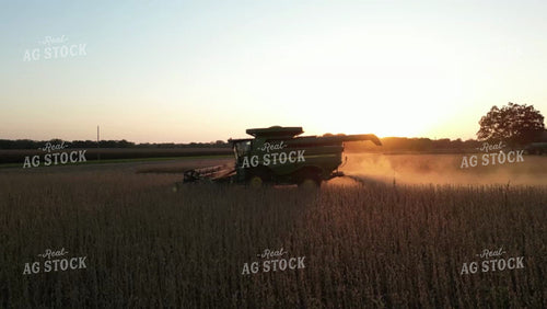 Soybean Harvest 115194