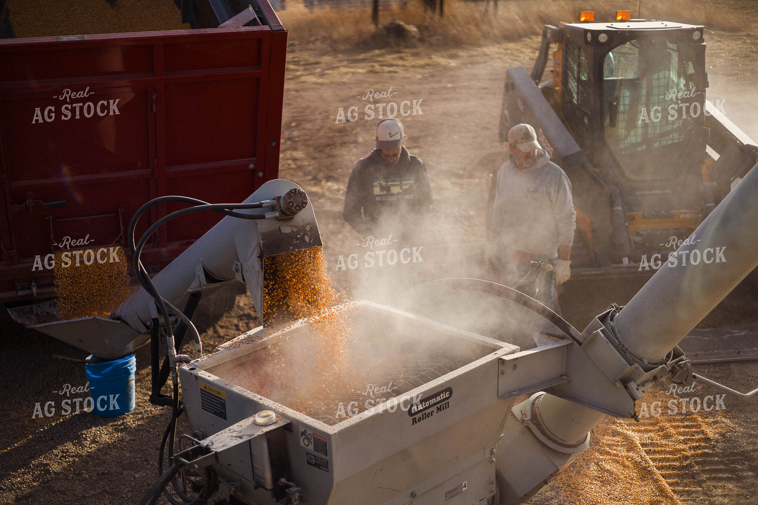 Grinding Corn to Feed Cattle 97243