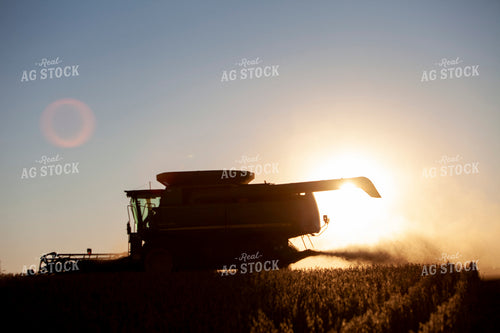 Harvest 1813