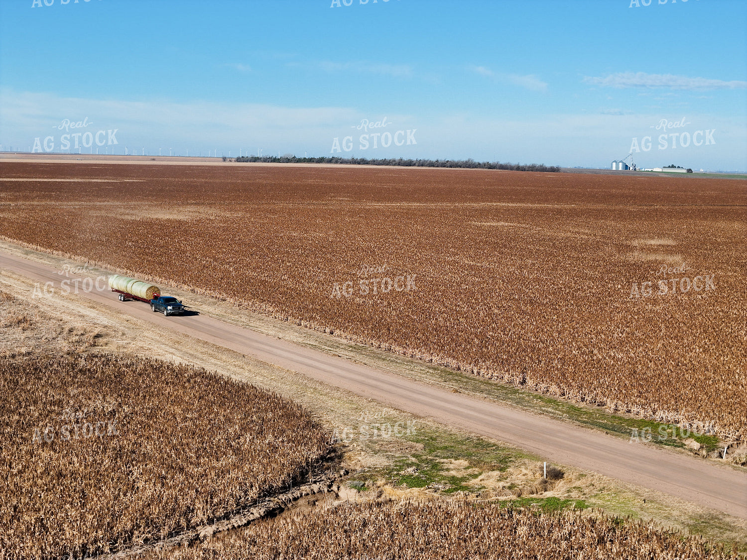 Moving Round Bales on Trailer 239419