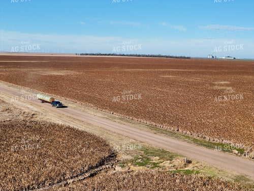 Moving Round Bales on Trailer 239419