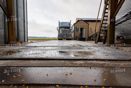 Semi Going Across Scale at Elevator 79658