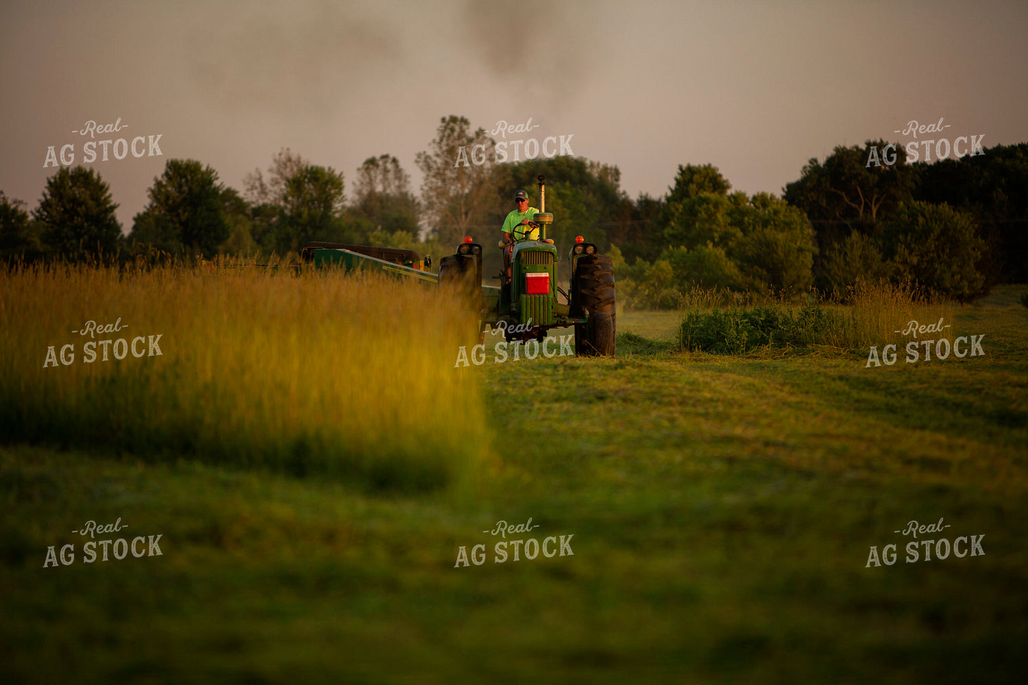 Cutting Hay 4966