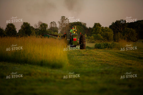 Cutting Hay 4966