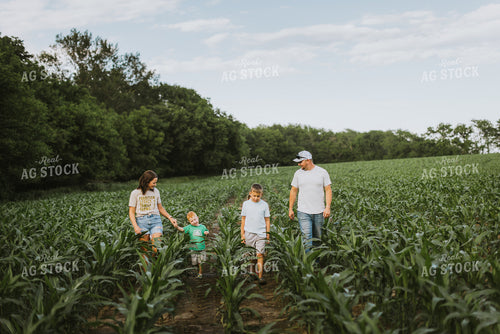 Farm Family Checking Corn 8734
