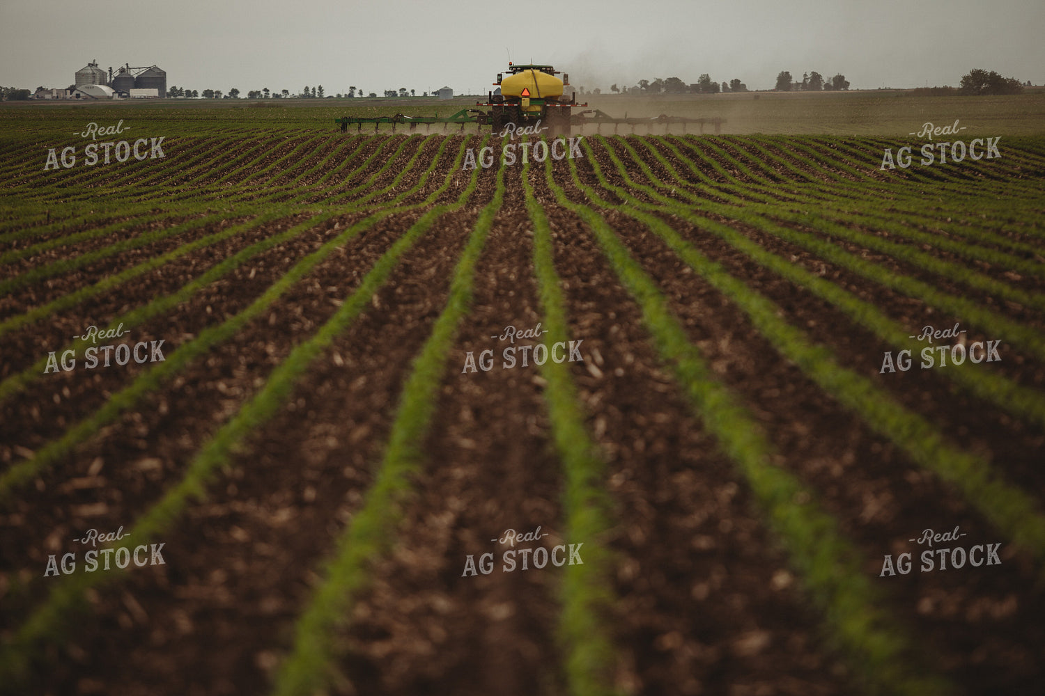Side Dressing Fertilizer in Corn Field 5737