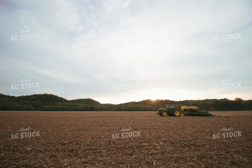 Planting at Sunset 52141
