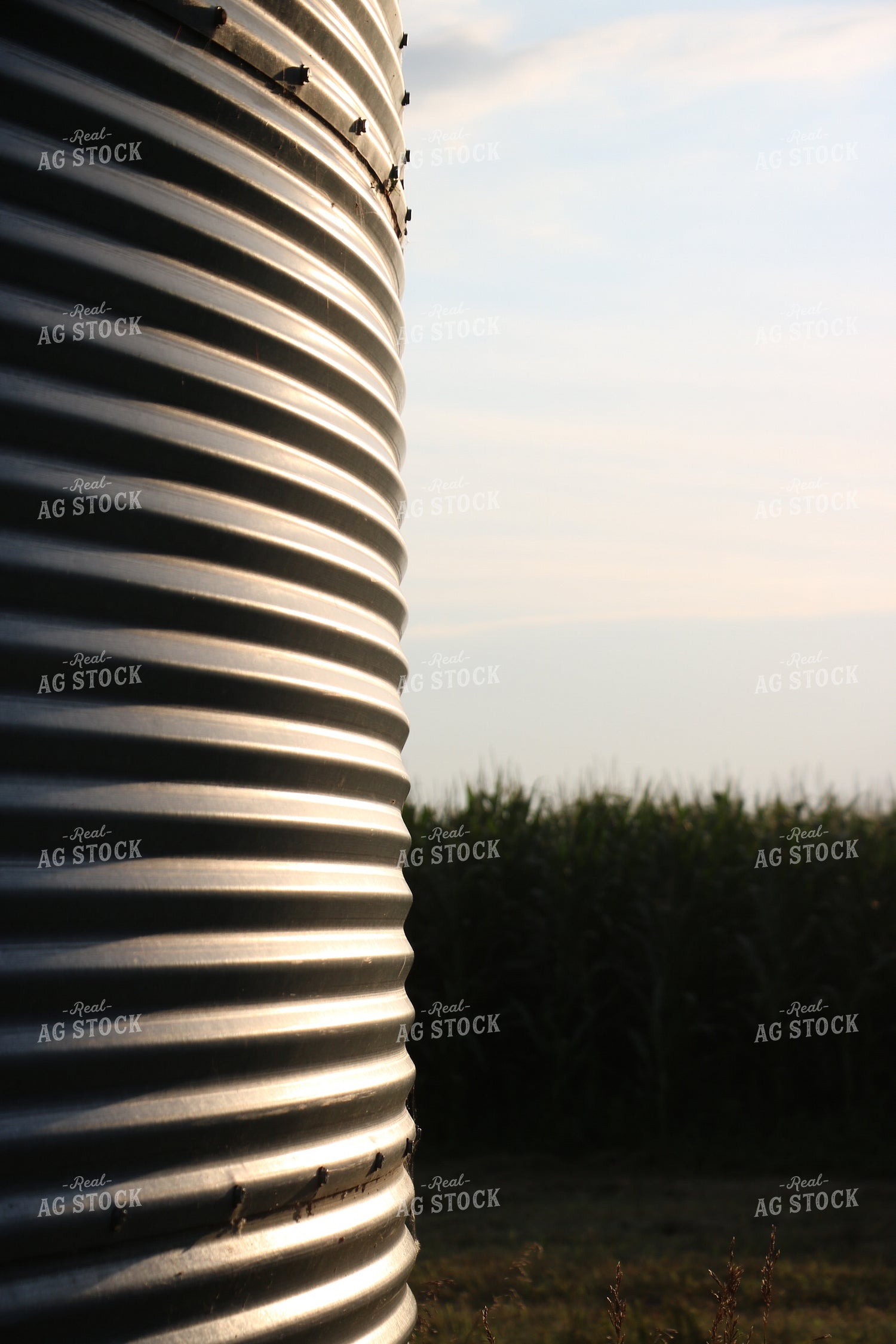 Grain Bin Close Up 299251