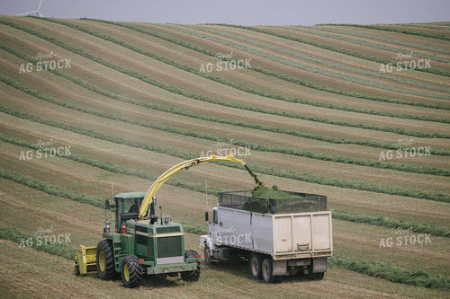Harvesting Hay Silage 70085