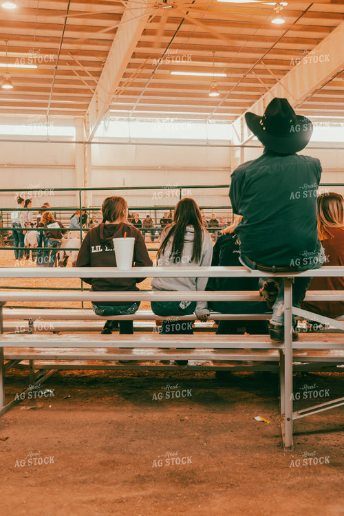 Spectators at 4H Show 58160