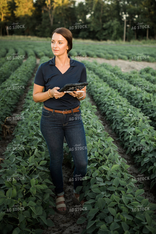 Agronomist or Farmer in Soybean Field with Tablet 6095