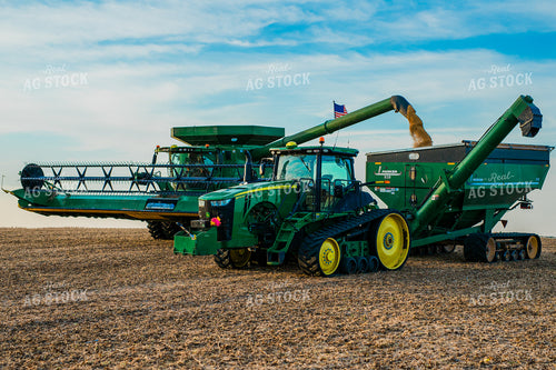 Soybean Harvest 133020