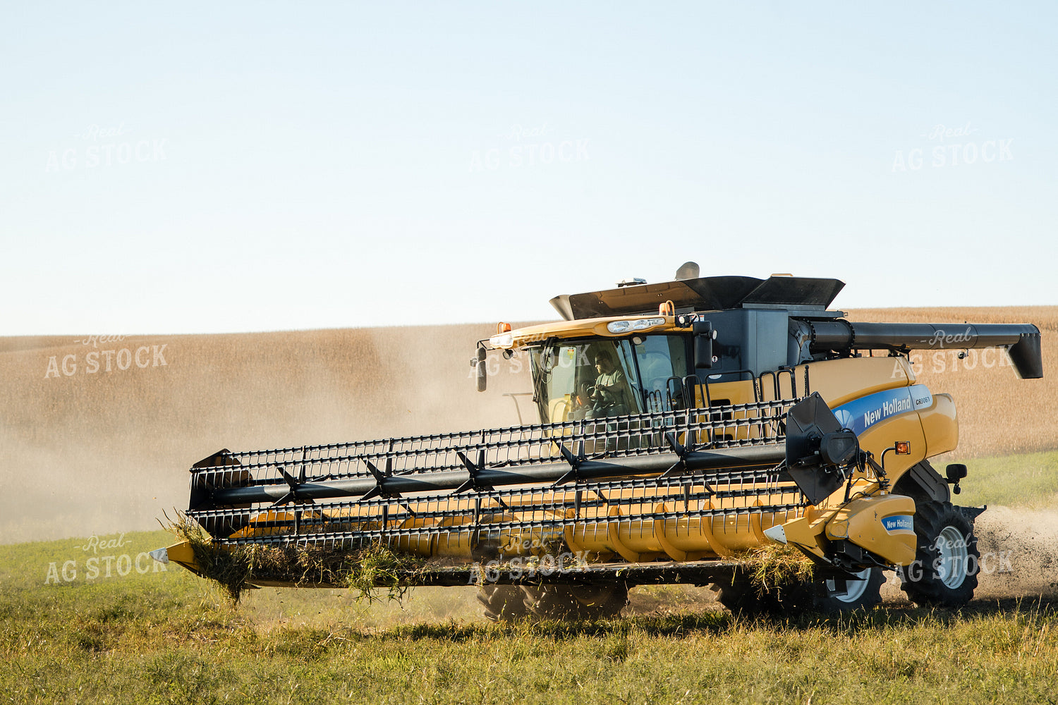 Soybean Harvest 215087