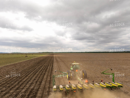 Planting 115776