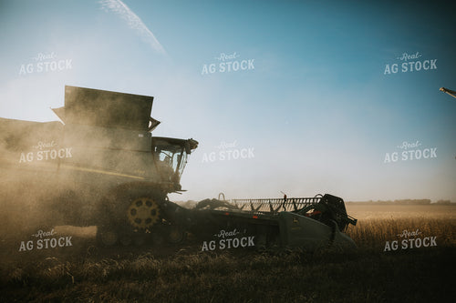 Soybean Harvest 7097