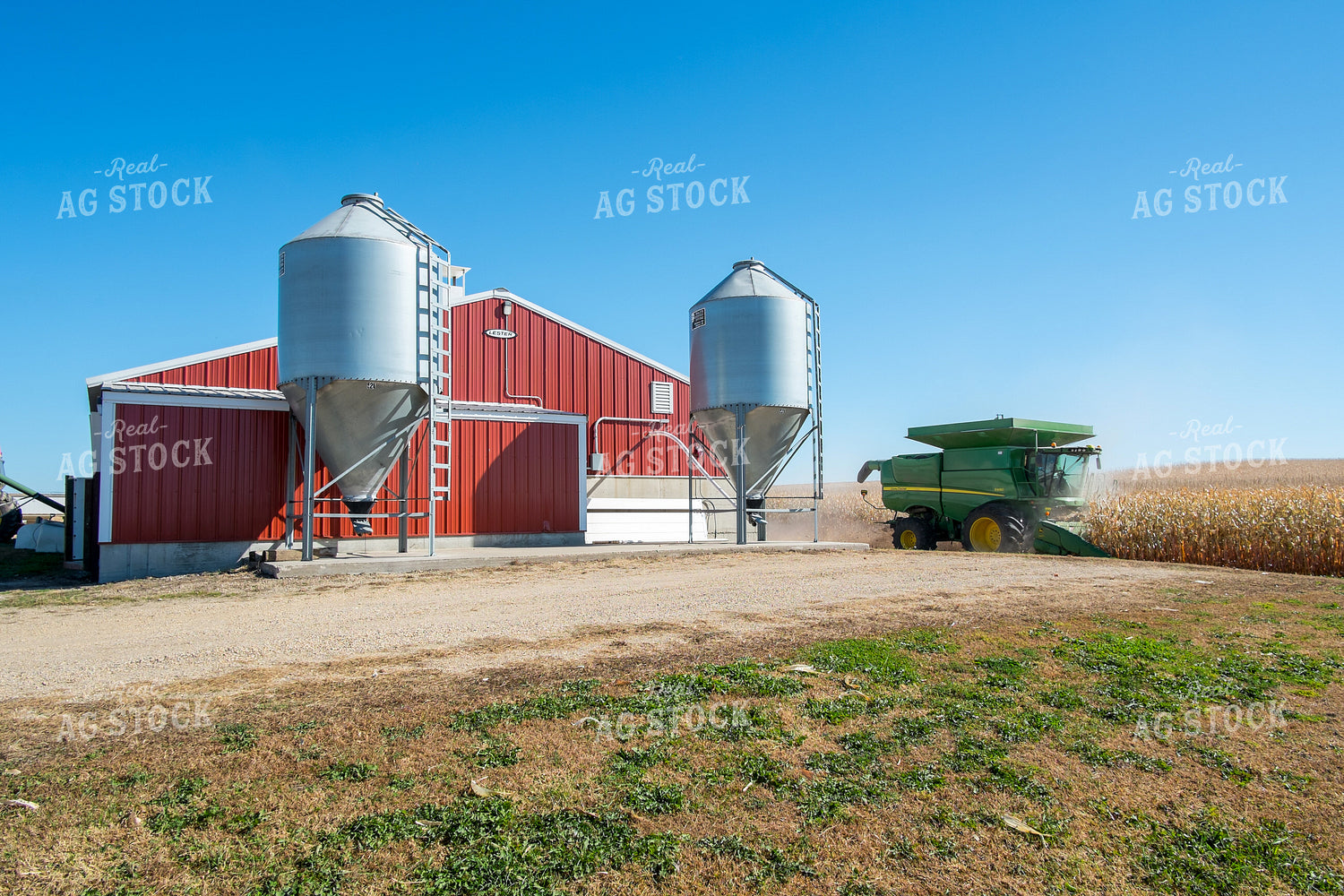 Corn Harvest 154030