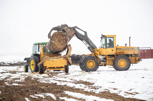 Loading Hay Bale 155436