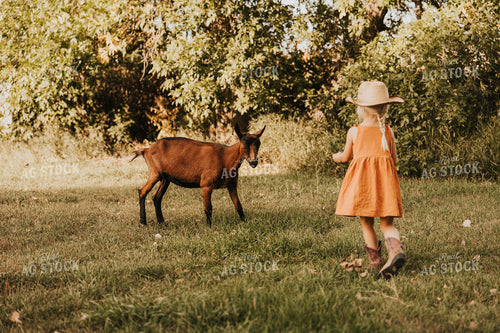 Farm Kid with Goat 61244