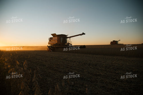 Soybean Harvest 26010