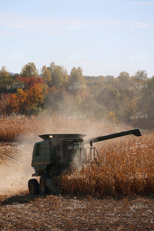 Corn Harvest 194029