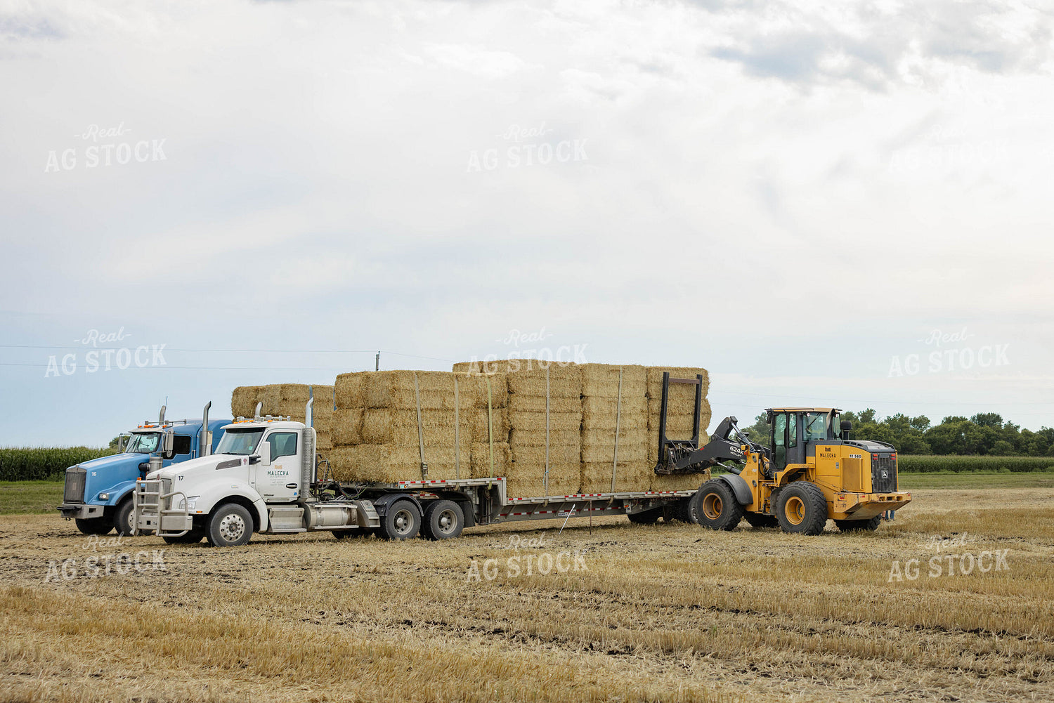 Loading Wheat Straw Bales 296079