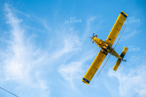 Crop Duster 185115