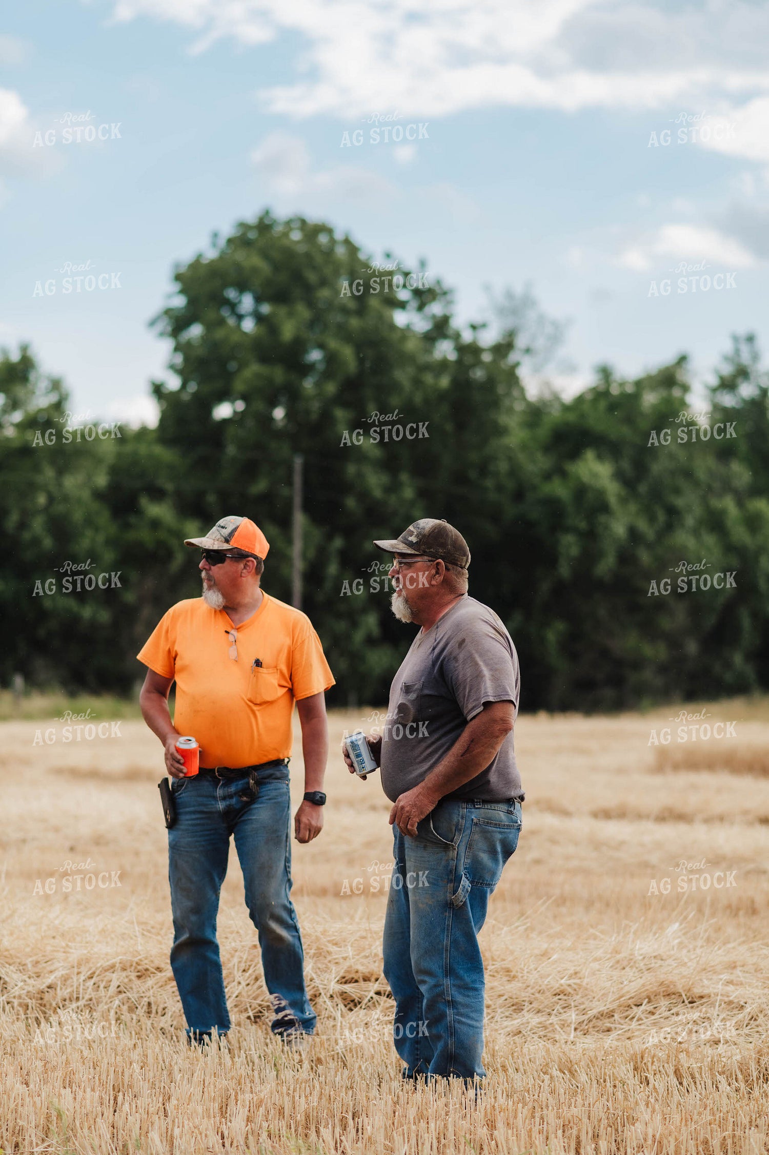 Farmers Talking in Wheat Field 115176