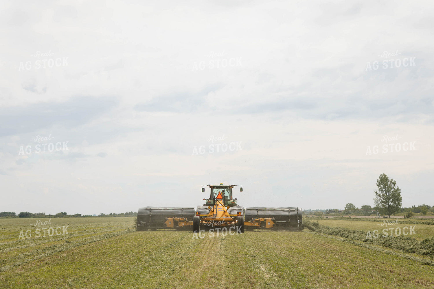 Merging Hay 152786