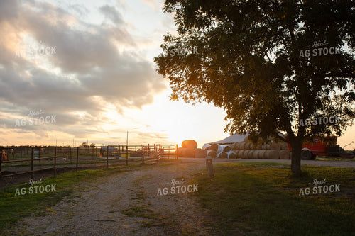 Horse Farm 179004