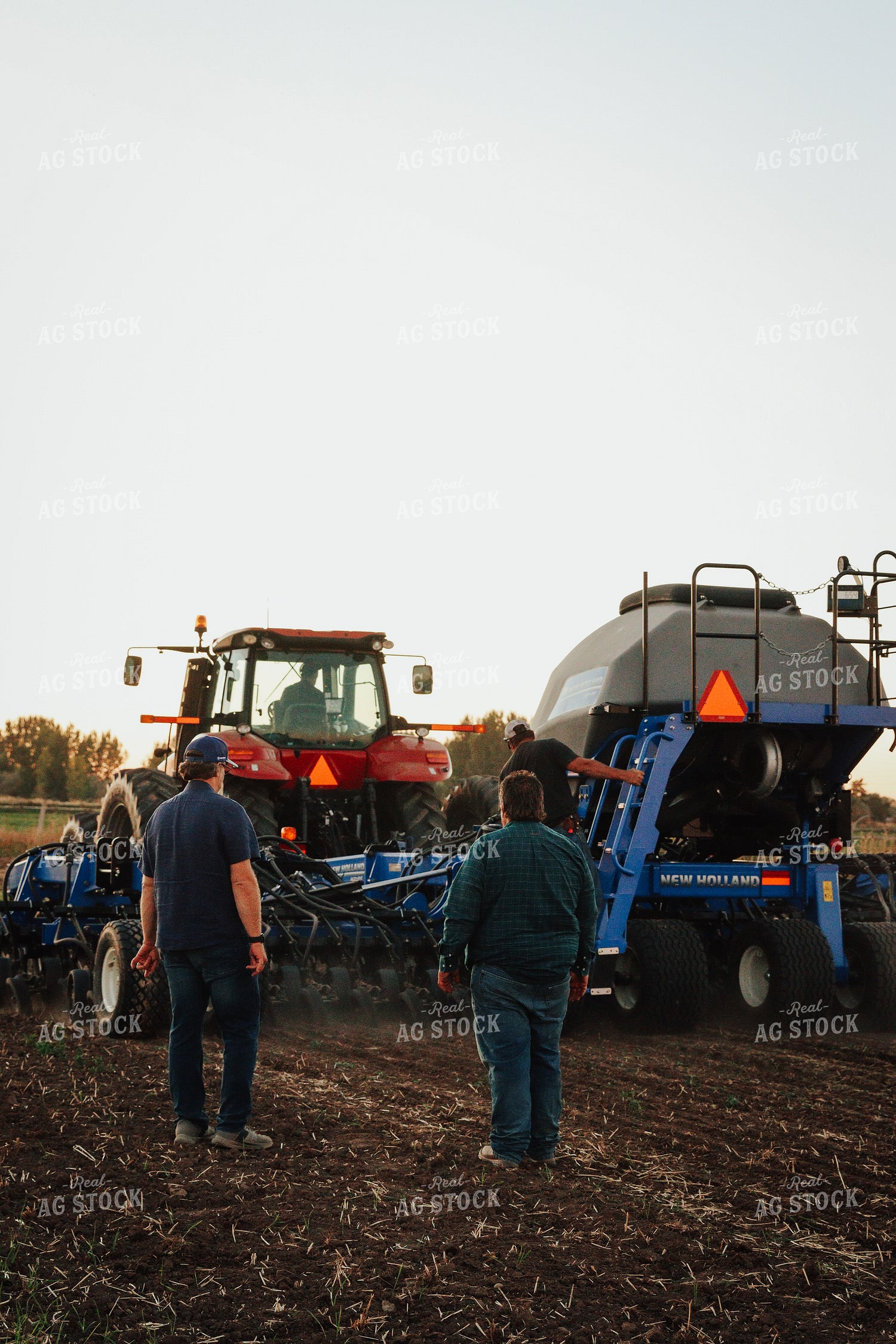 Seeding 83186