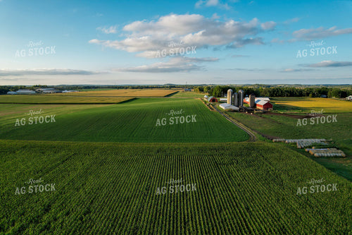 Aerial of Farmland in Summer 261076