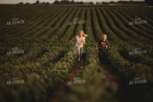Farm Kids in Soybean Field 4568