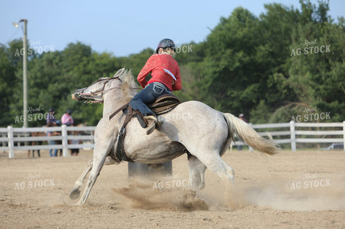 Equestrian Riding Horse 160048