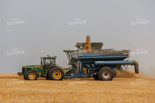 Wheat Harvest 187189