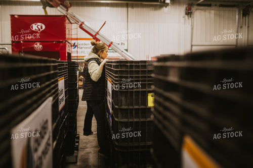 Woman Checking Seed Bulk Bin 5356