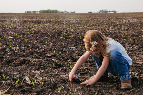 Farm Kid Plays with Toy Tractor in Emerging Corn Field 67292